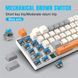 Ігрова механічна дротова клавіатура HXSJ V500 / Blue Switch / 60% / RGB / Colourful 356 фото 4
