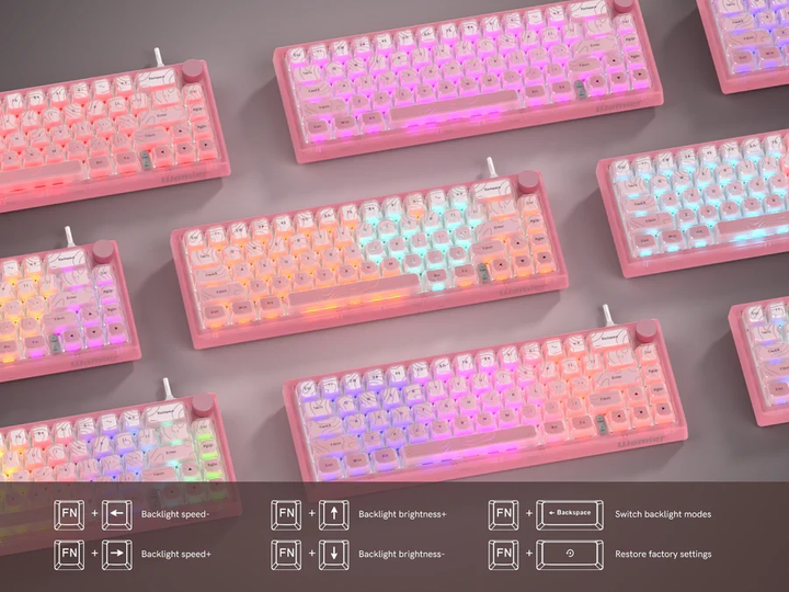 Игровая механическая клавиатура Womier VK66 Pro / Проводное подключение / Womier POM Series Switches / Pink Lines 235 фото