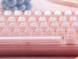 Игровая механическая клавиатура Womier VK66 Pro / Проводное подключение / Womier POM Series Switches / Pink Lines 235 фото 6